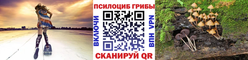 Псилоцибиновые грибы прущие грибы сайты даркнета как зайти Макарьев